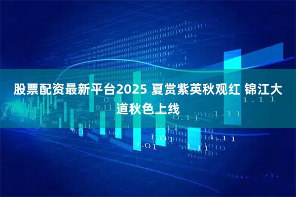 股票配资最新平台2025 夏赏紫英秋观红 锦江大道秋色上线